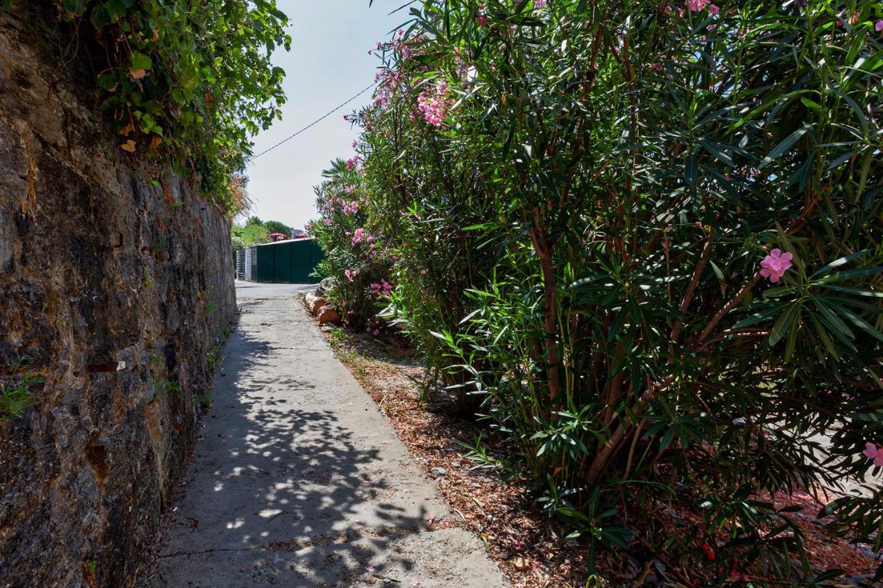 Casa Gretemma Διαμέρισμα Ραπάλο Εξωτερικό φωτογραφία